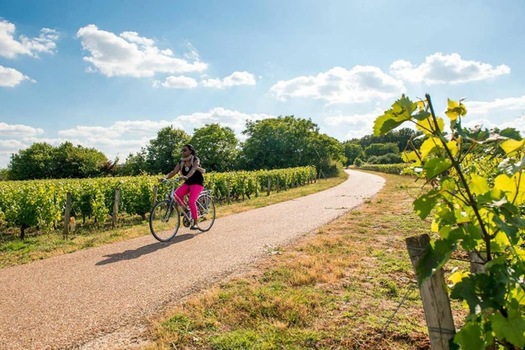 Studio Au Coeur Des Vignes Lejlighed Montlouis-sur-Loire Eksteriør billede