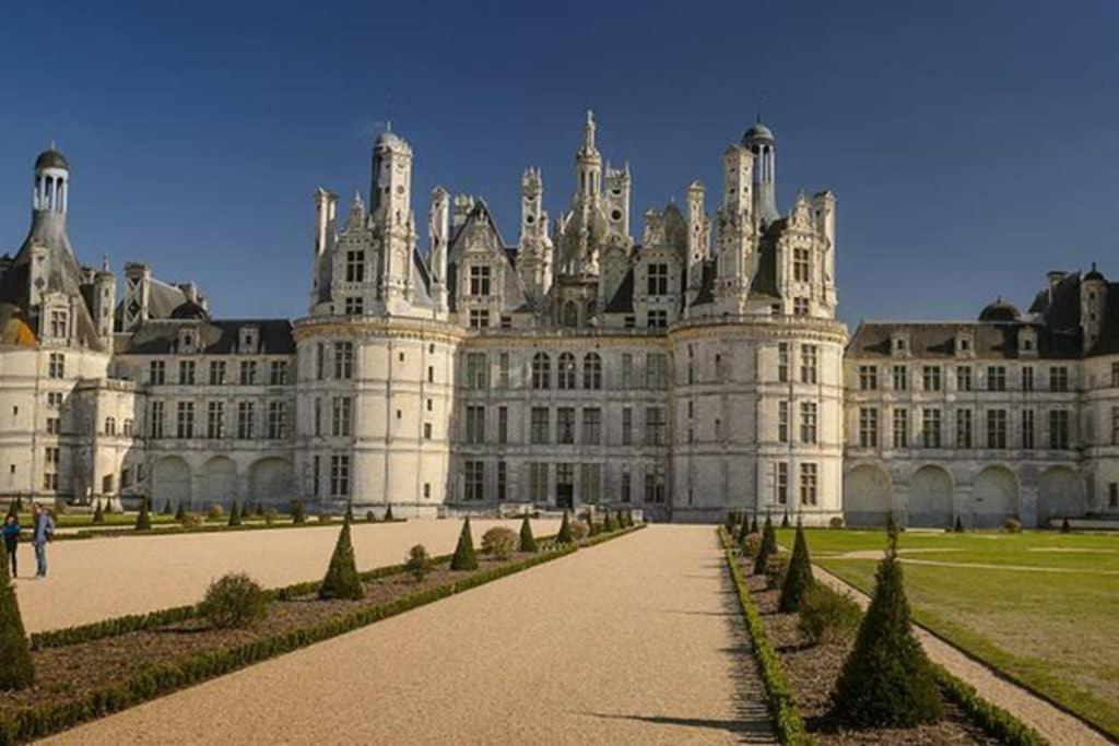 Studio Au Coeur Des Vignes Lejlighed Montlouis-sur-Loire Eksteriør billede